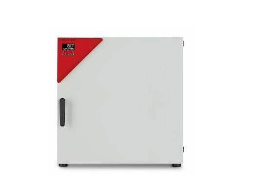 Шкаф сушильный BINDER ED 115 (ED115UL-120V)