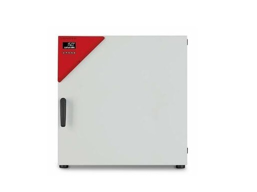 Шкаф сушильный BINDER FD 115 (FD115-230V)
