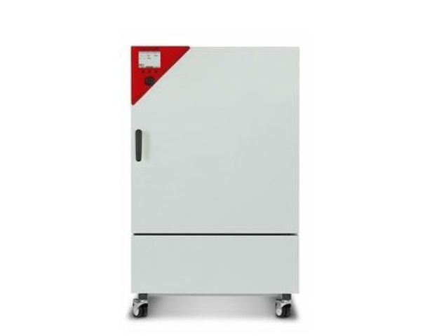 Инкубатор BINDER KB 240 (KB240UL-120V)