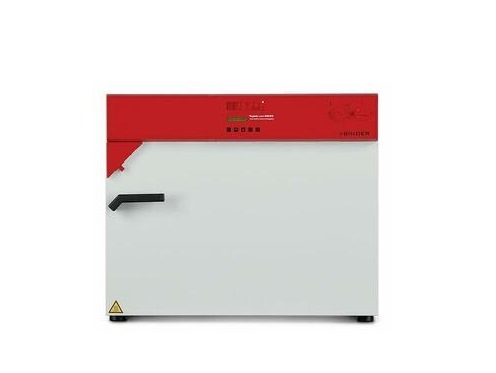 Шкаф сушильный BINDER FP 115 (FP115UL-120V)
