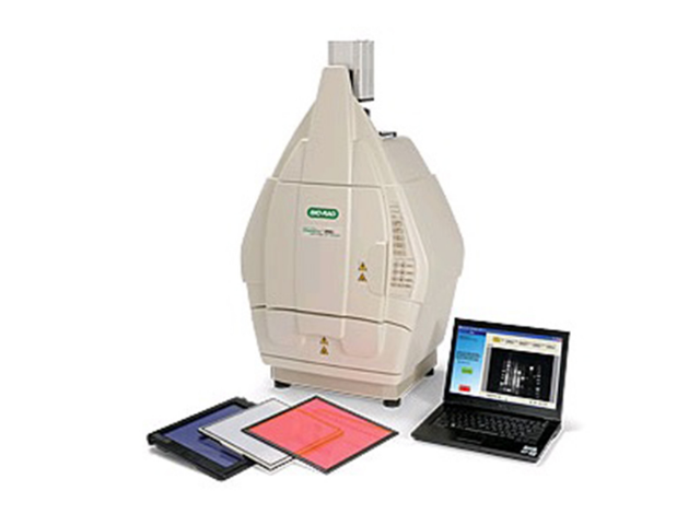 Система гель-документирования BIORAD ChemiDoc XRS+